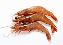Gamba Rosa Cristal  C/ 10x1,5kg