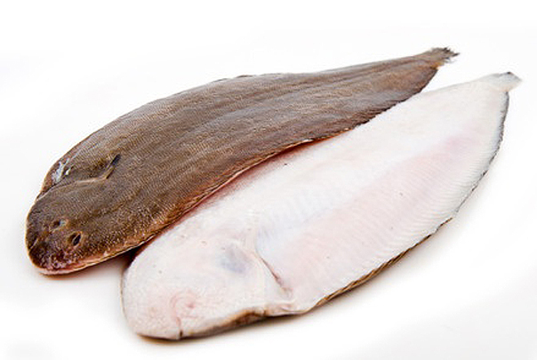 Lenguado Holandes N3 300/350 5kg