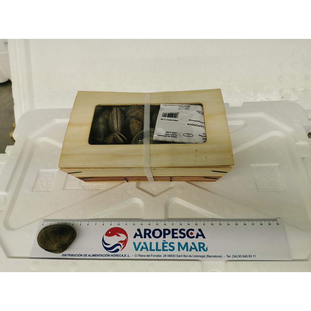 Almeja 40/60 Pz/Cj 1 kg