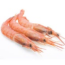 [1047] Alistado Gamba Blanca N2