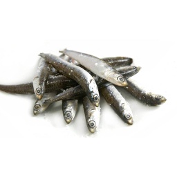 [2131] Boqueron G Mediterranio Kualitum Cong. 4kg