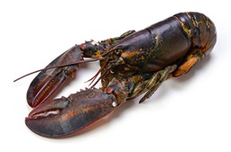 [1094] Bogavante Canada Congelado 350/400 5kg