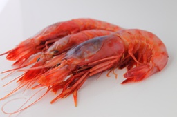 [1960] Gamba Alistado A1-MU 45/50 pz