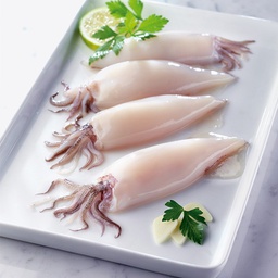 [6040] Calamar Patagonico Limpio 6x1kg Kloska