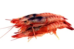 [0961] Gamba Alistado A1pz 45/52 A.N